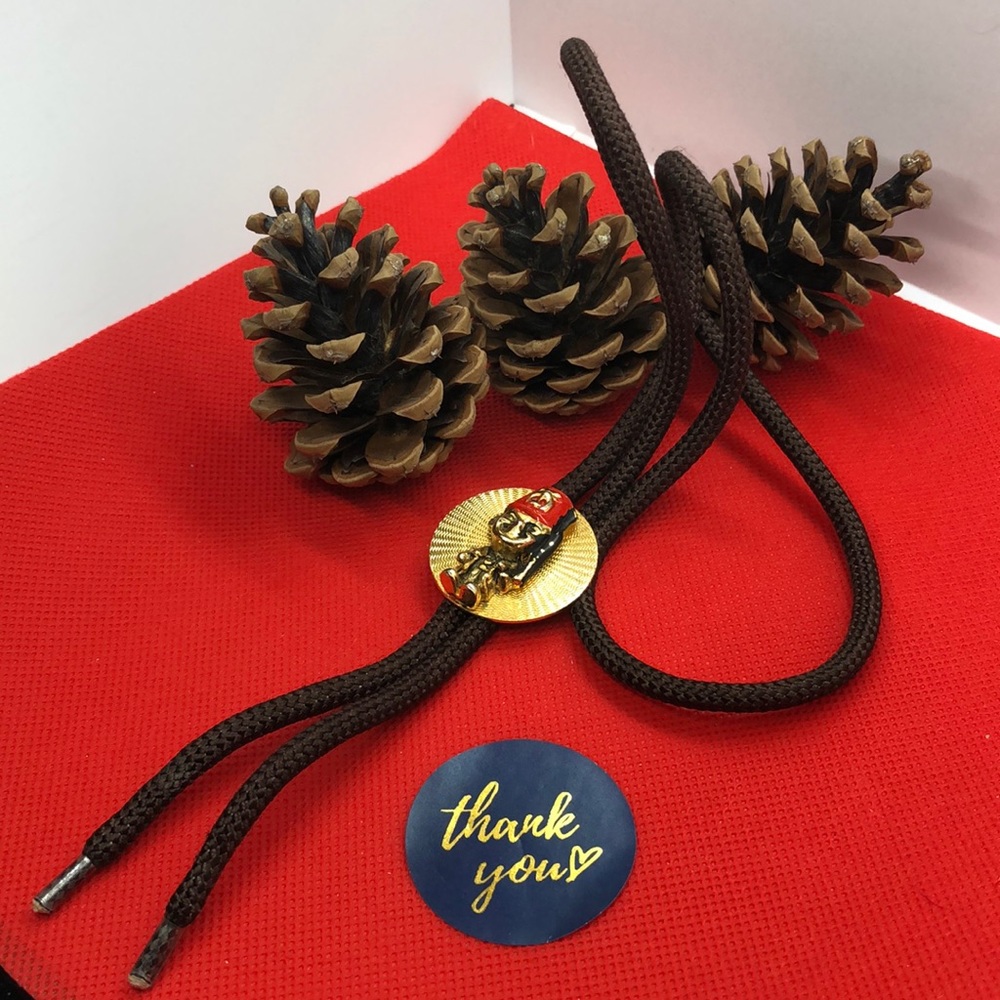 Unique 💗 RARE FOUND 💗 Bolo Tie Gold Plated